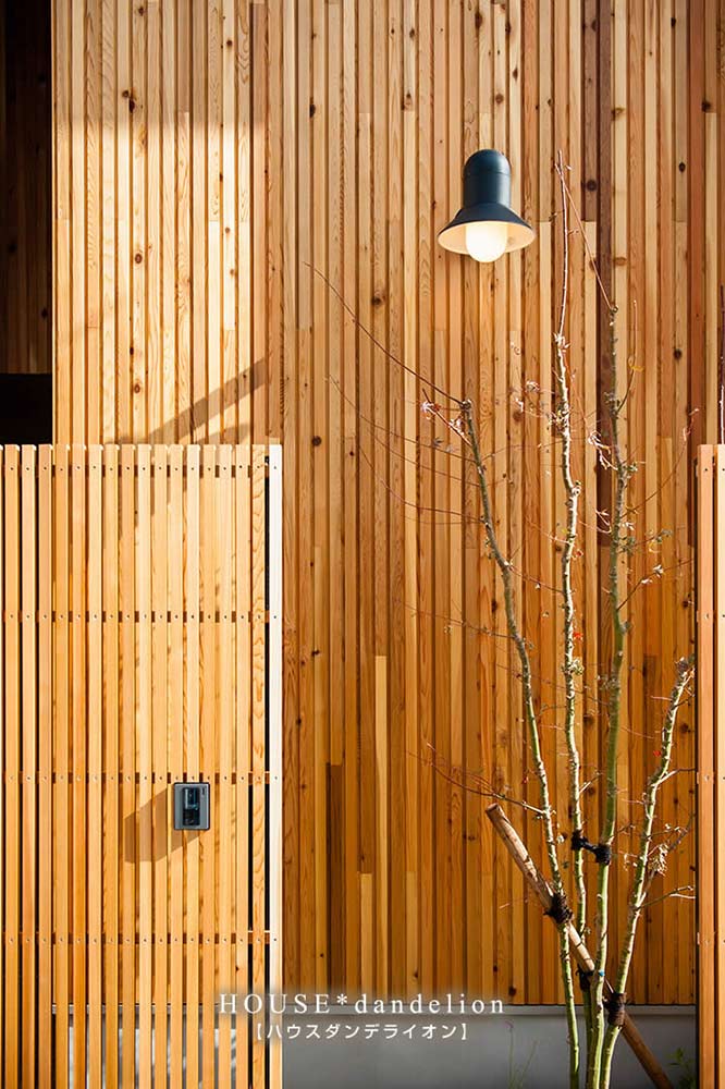 ハウスダンデライオン
